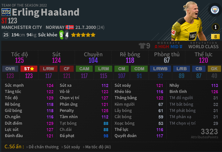 Erling Haaland