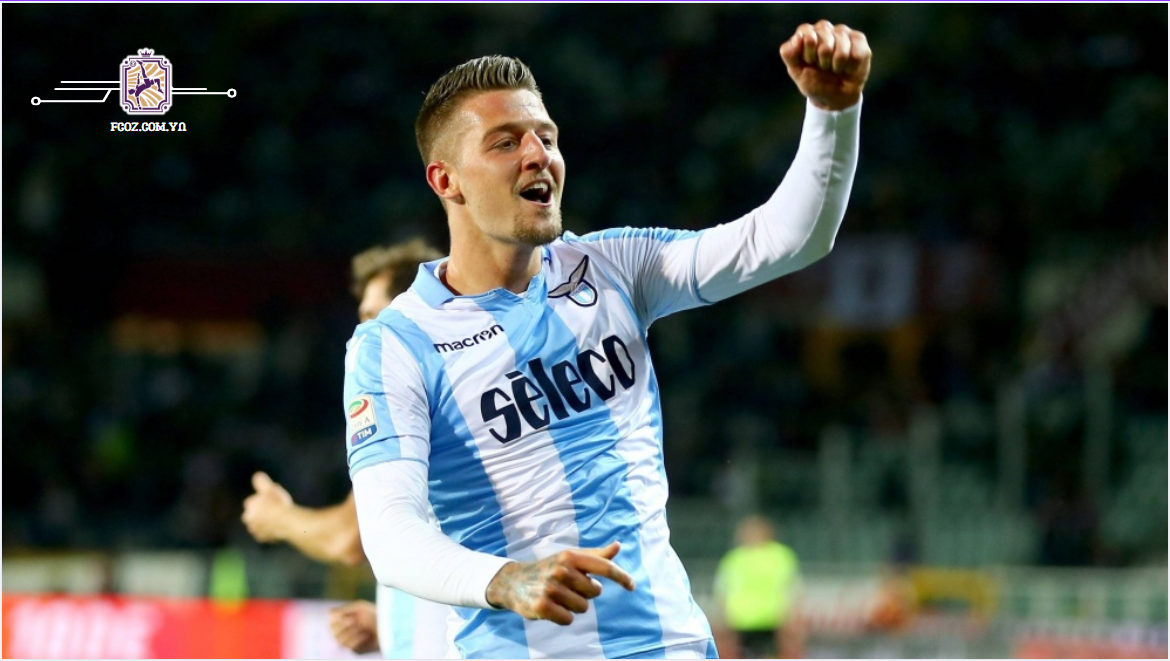 S. Milinković-savić1