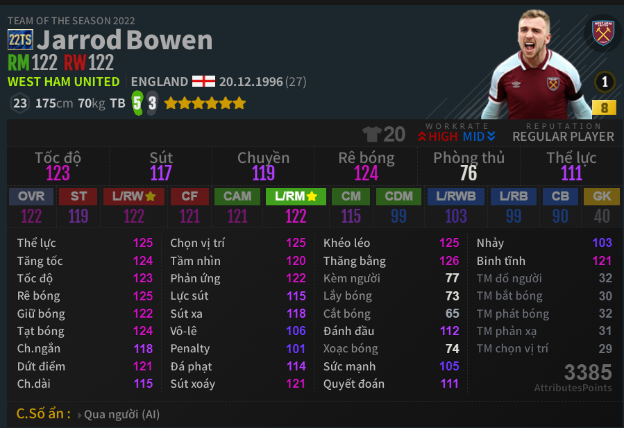 Bowen 22TS