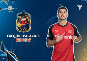 Palacios 24TS