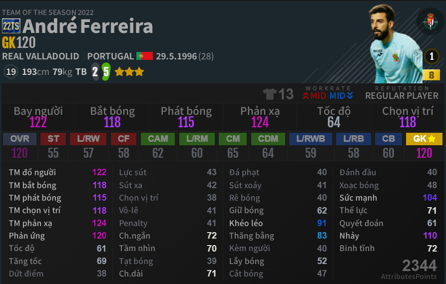 Ferreira 22TS