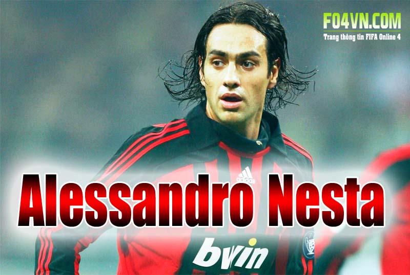 Nestax800