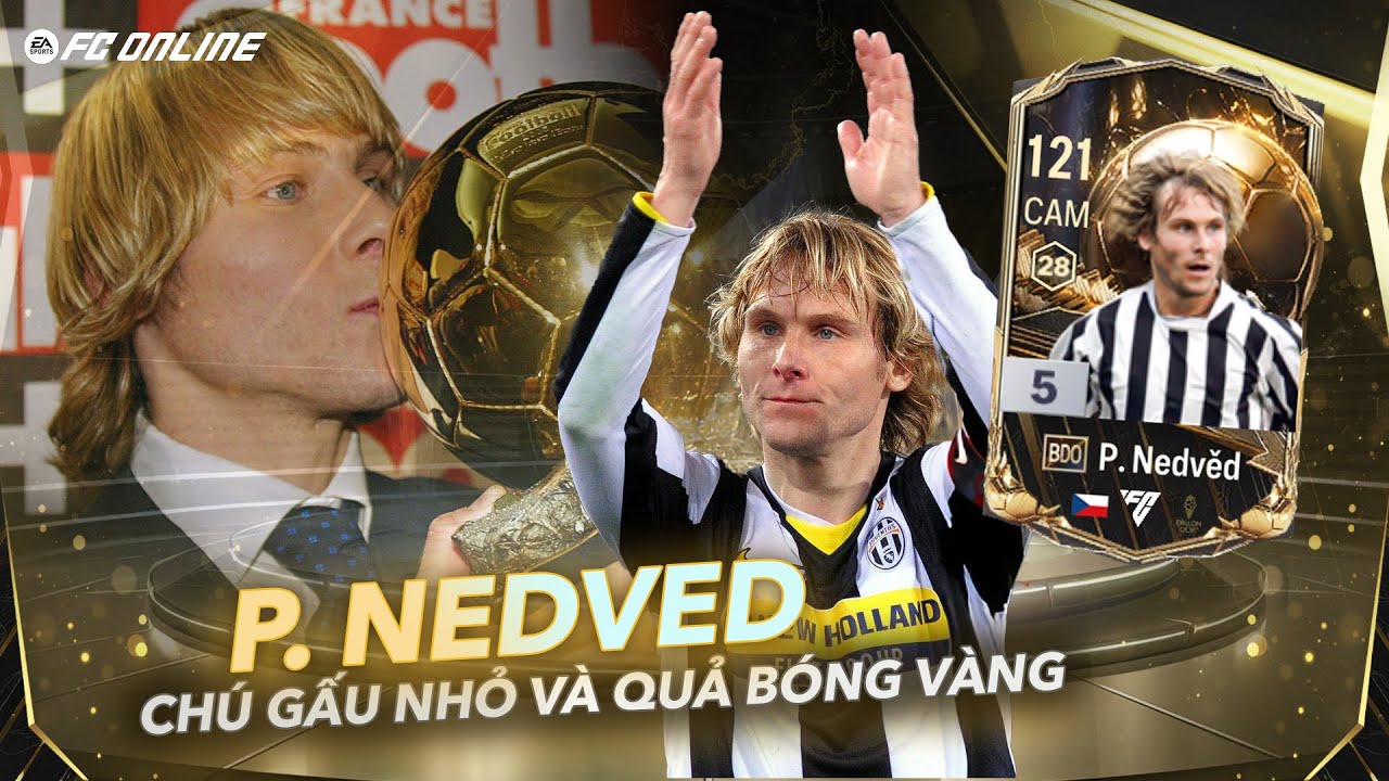 Nedved BDO