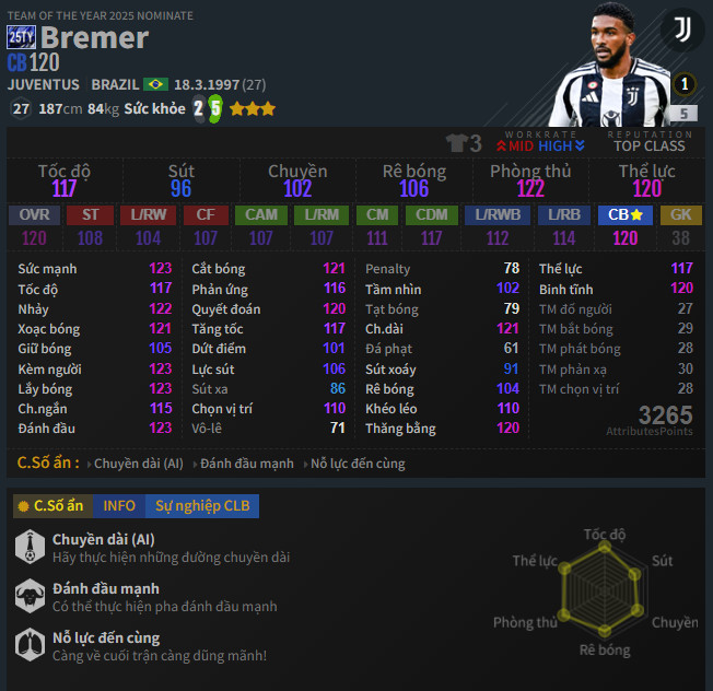 Bremer 25TY