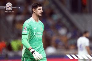 Courtois 23TY