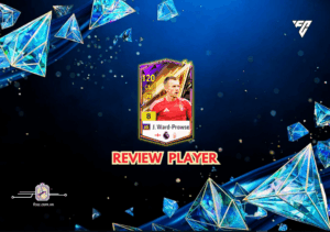 Banner Binh Thuong (11)