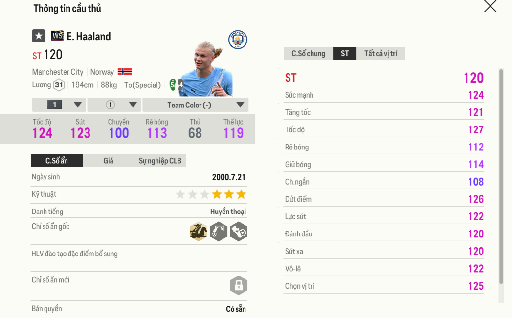 Review Erling Haaland WS