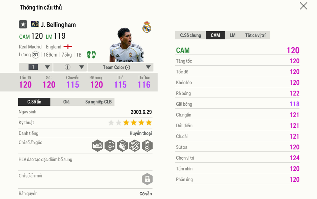 Review Jude Bellingham WS