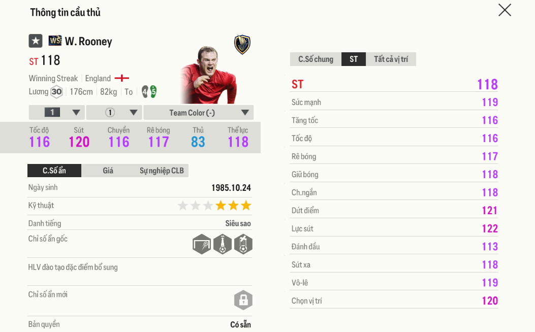 Review Wayne Rooney WS