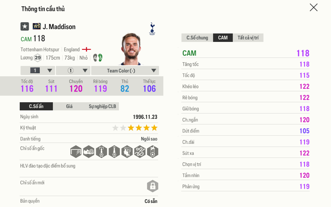 Review James Maddison WS