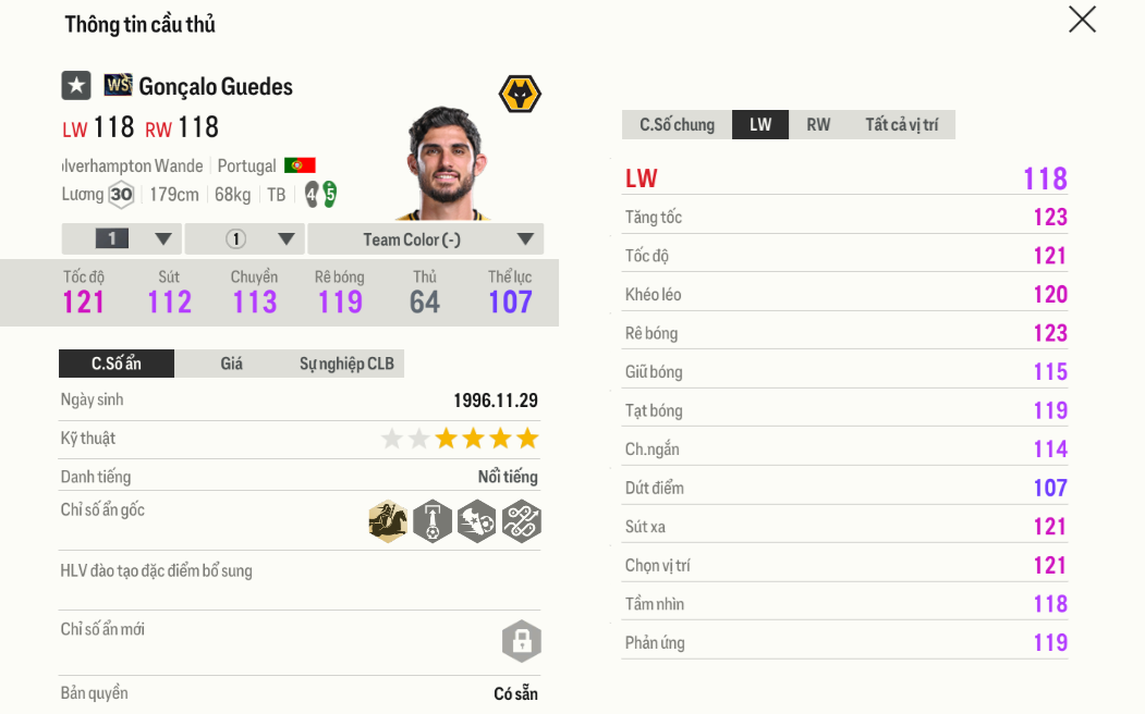 Review Gonçalo Guedes WS