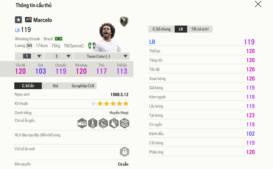 Review Marcelo WS