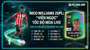 Nico Williams 25pl