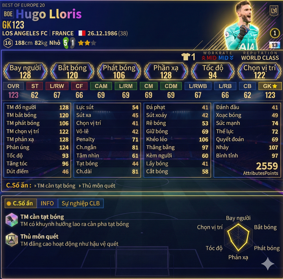 Hugo Lloris Boe