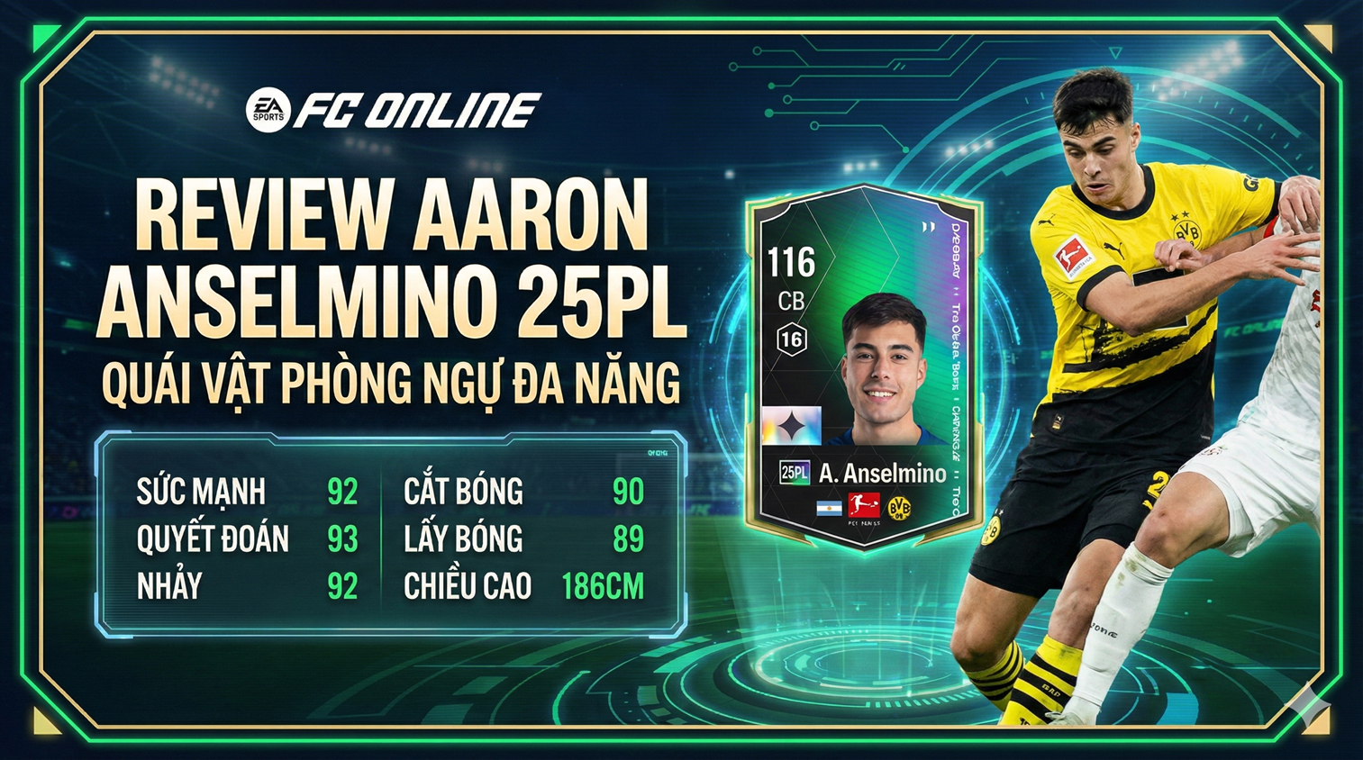 Aaron Anselmino 25pl