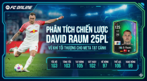 David Raum 25pl