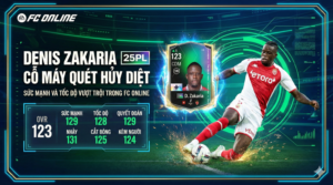 Denis Zakaria 25pl