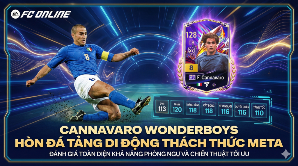 Fabio Cannavaro Wb
