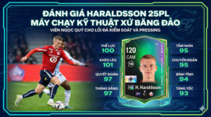 H. Haraldsson 25pl