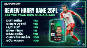 Harry Kane 25pl