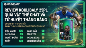 Kalidou Koulibaly 25pl