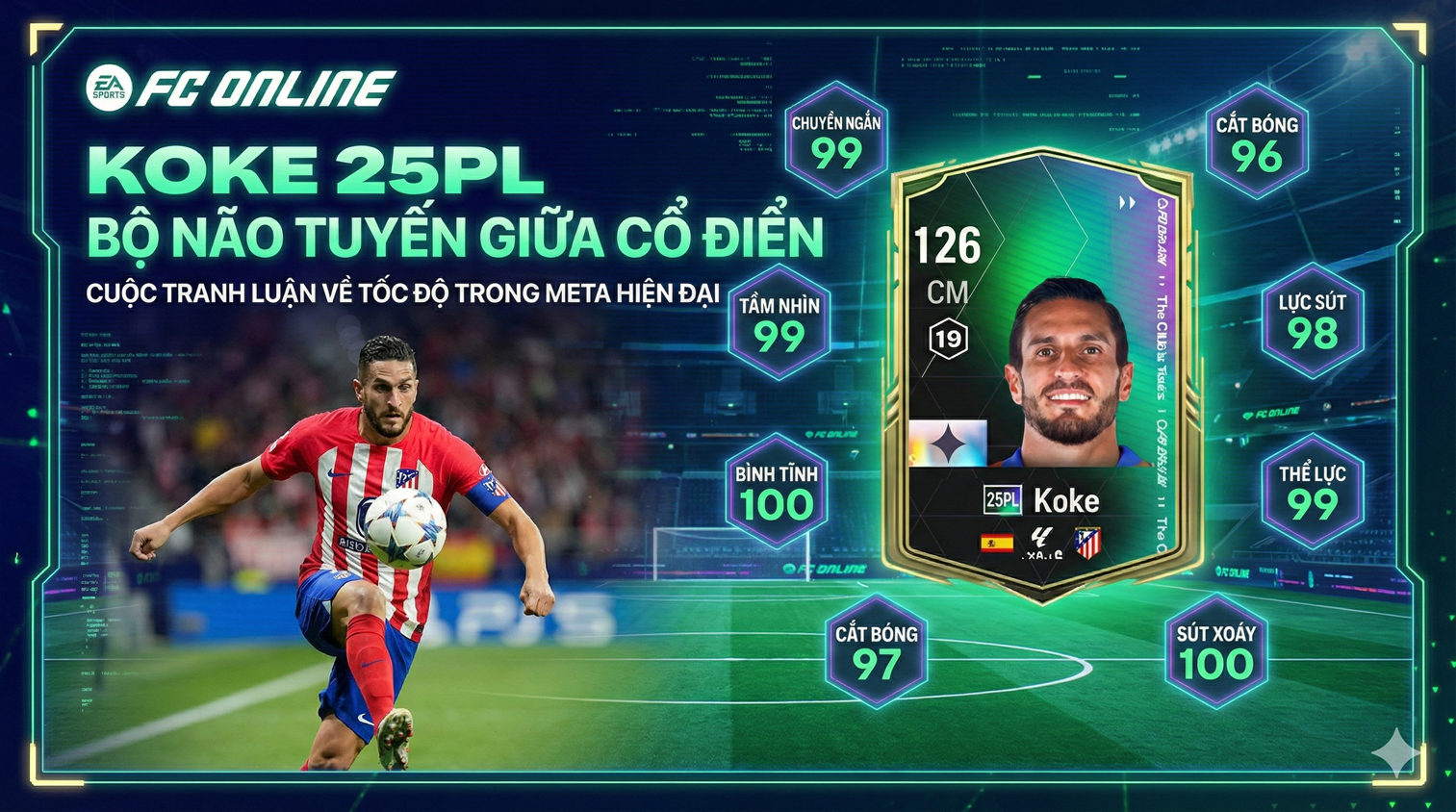 Koke 25pl
