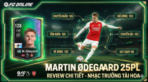 Martin Ødegaard 25pl