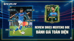 Review Dries Mertens Boe