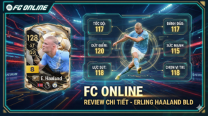 Review Erling Haaland Bld