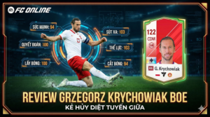 Review Grzegorz Krychowiak Boe