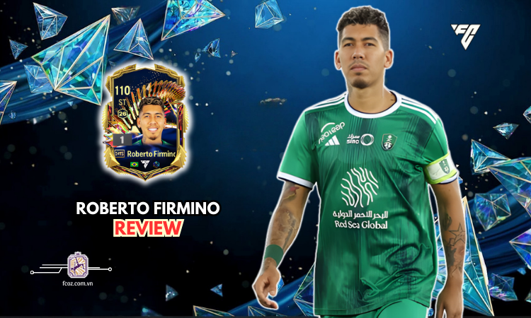 Firmino 24TS
