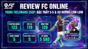 Youri Tielemans 25dp